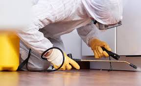 Best Pest Prevention Services  in Pasatiempo, CA